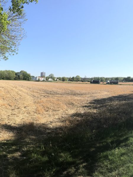 In der Bildmitte ein Feld, links und rechts von Bäumen gesäumt. Darüber blauer Himmel.