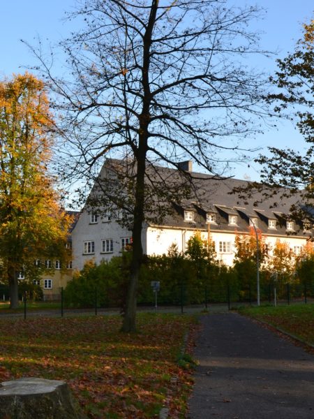 Im Vordergrund ein Weg, rechts und links davon Wiesenflächen und Bäume. Auf den Wiesen liegt Laub. Im Hintergrund ein historisch aussehender Gebäudekomplex in hellen Farben, rechts begrenzt durch einen kleinen Turm.