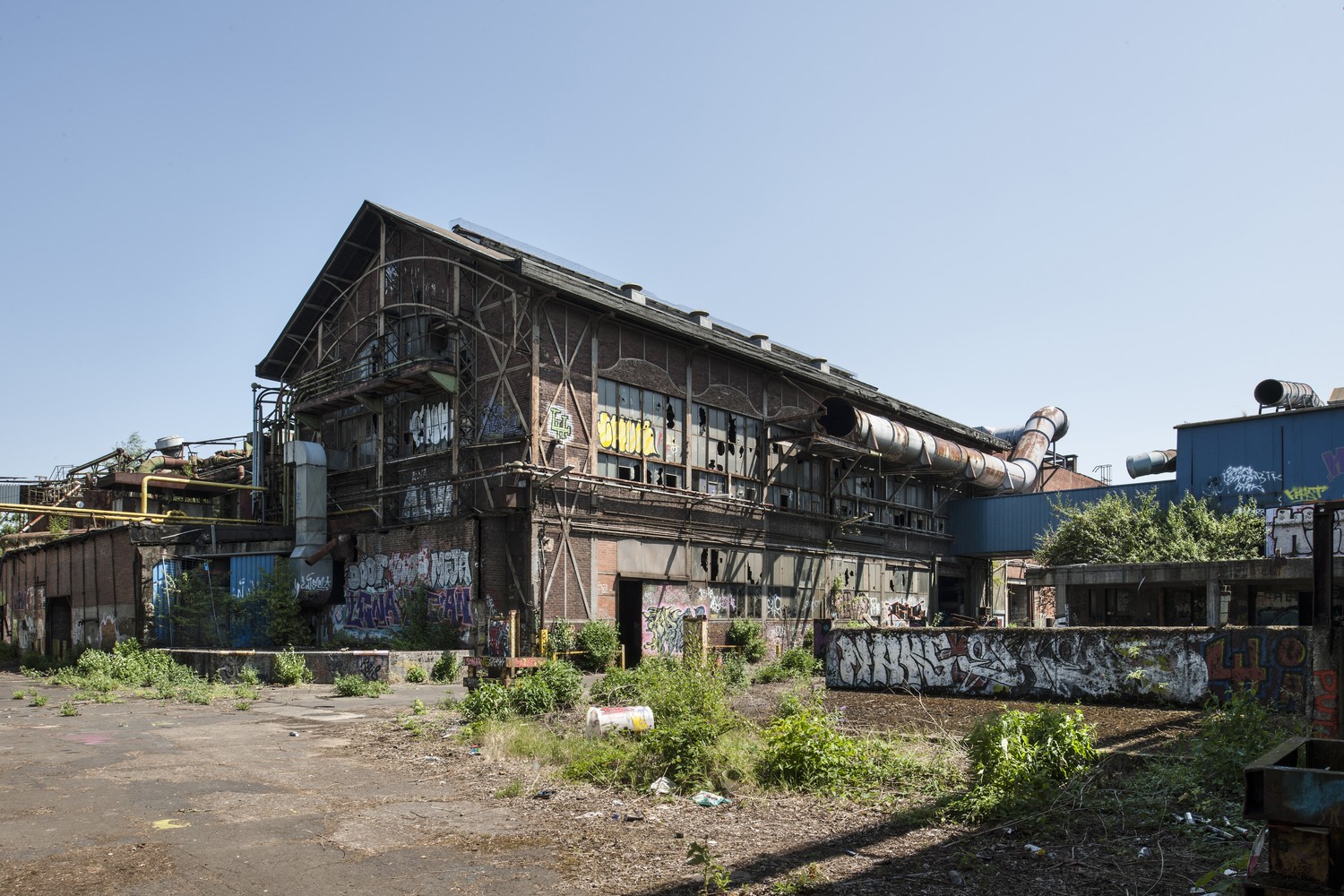 Leerstehendes Fabrikgebäude, mit Graffitis besprüht und von wildem Pflanzenwuchs umgeben.
