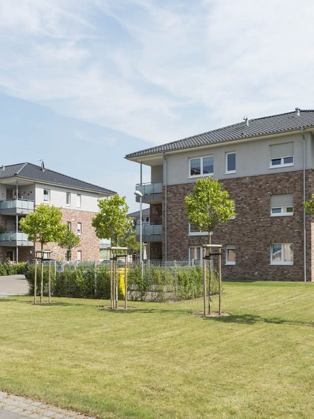 Neubau Wohnquartier mit Rasenfläche und kleinen Bäumen, Parkplätze