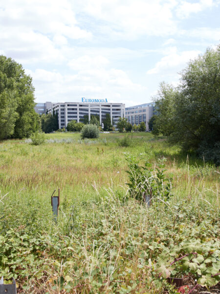 Blick über Wiese hin zum Euromoda-Gebäude
