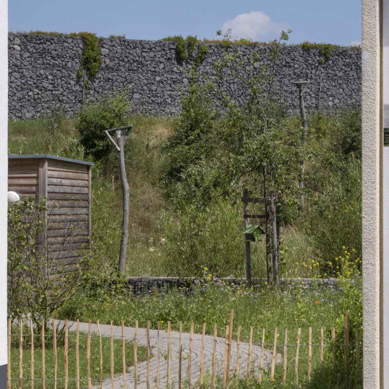Ein kleiner Garten zwischen zwei modernen Hauswänden mit jungem Grün, einem geschwungenen Steinweg, einem niedrigen Holzlattenzaun und einem kleinen Holzschuppen. Im Hintergrund steht eine hohe, teils bewachsene Steinmauer unter blauem Himmel mit einer kleinen Wolke.