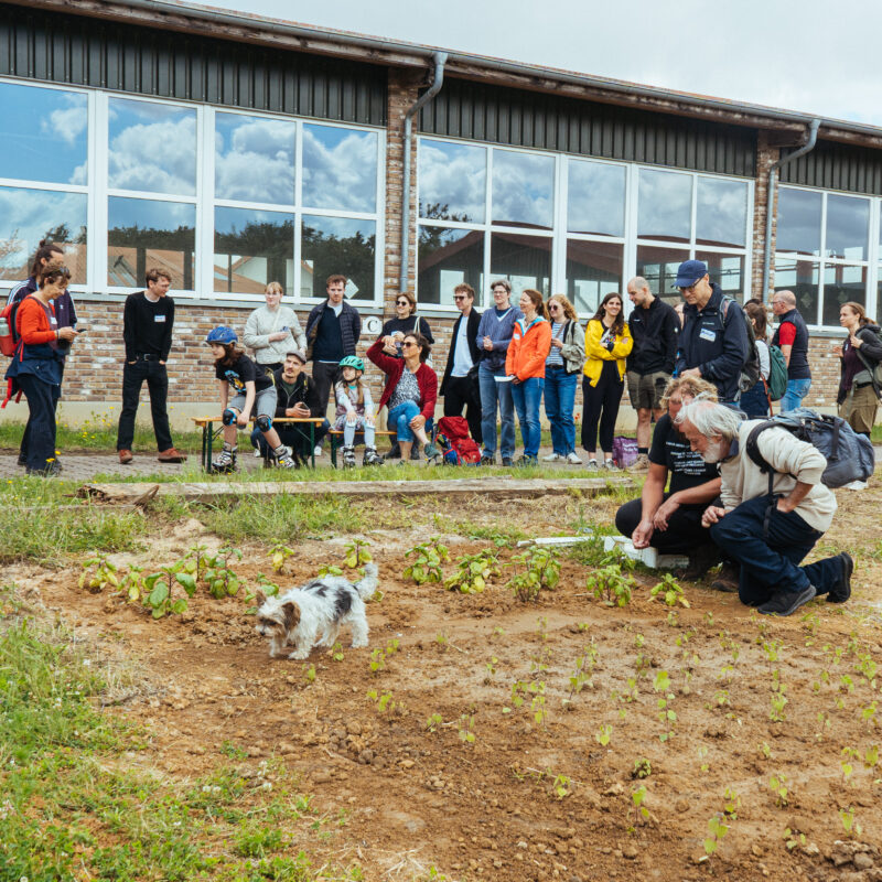 Eine Gruppe Menschen steht vor einem Feld, zwei Personen knien im Feld und betrachten die dort wachsenden Pflänzchen. Ein kleiner Hund läuft über das Feld.