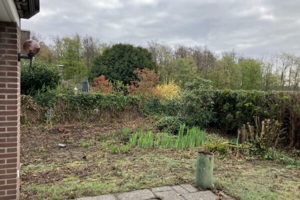Höchstgebotsverfahren Krefeld-Forstwald Doppelhaushälfte - Garten