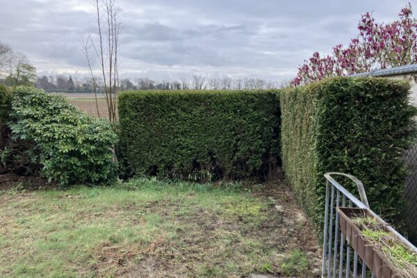 Höchstgebotsverfahren Krefeld-Forstwald Doppelhaushälfte - Garten